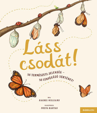 Rachel Williams: Láss csodát!