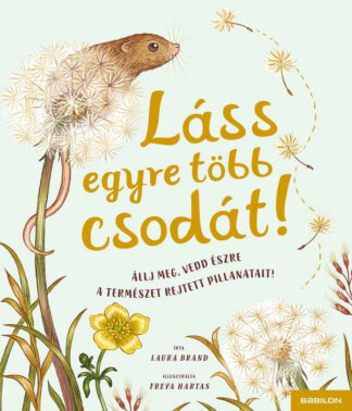 Laura Brand: Láss egyre több csodát!