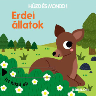 Húzd és mondd! - Erdei állatok