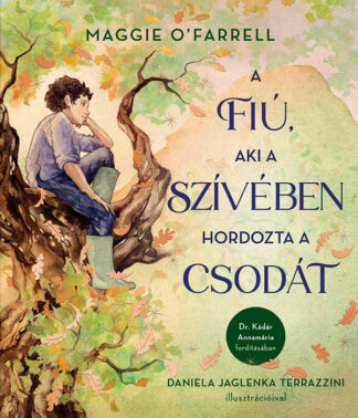 Maggie O'Farrell: A fiú, aki a szívében hordozta a csodát