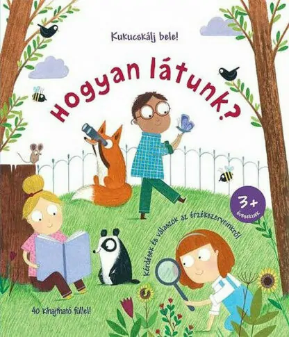 Katie Daynes: Hogyan látunk?