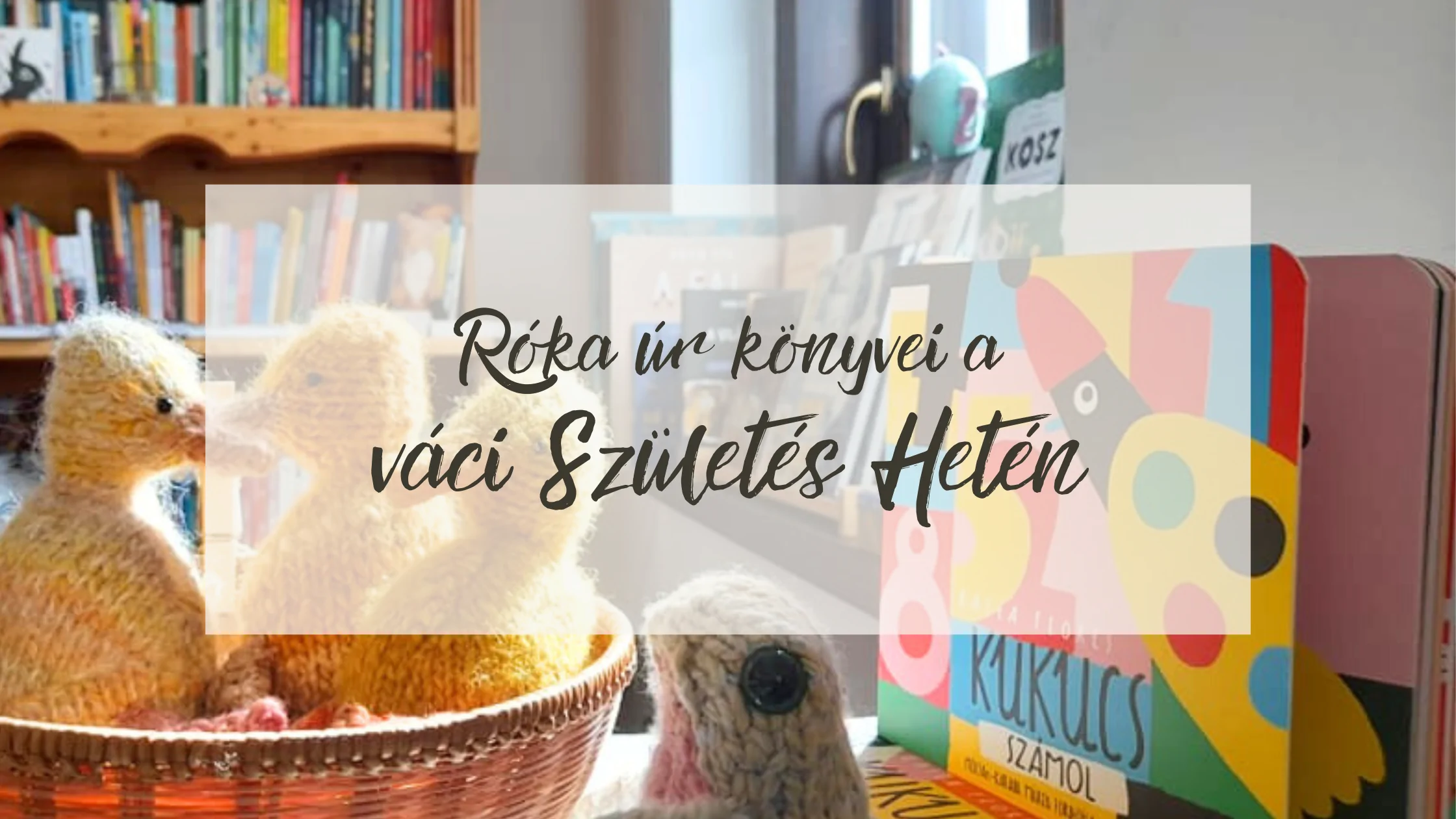 Róka úr a váci Születés Hetén