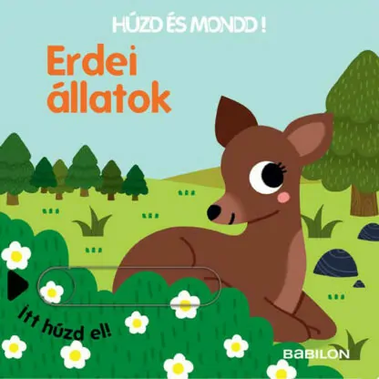 Húzd és mondd! - Erdei állatok