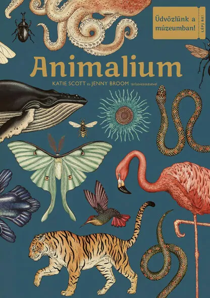 Katie Scott - Jenny Broom: Animalium