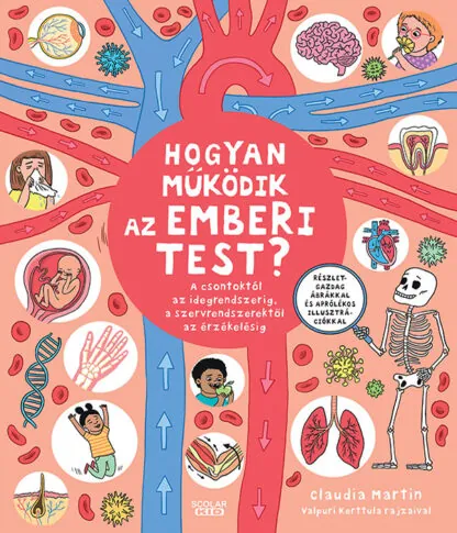 martin hogyan mukodik az emberi test