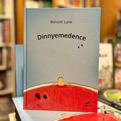 bonsoir lune dinnyemedence 0